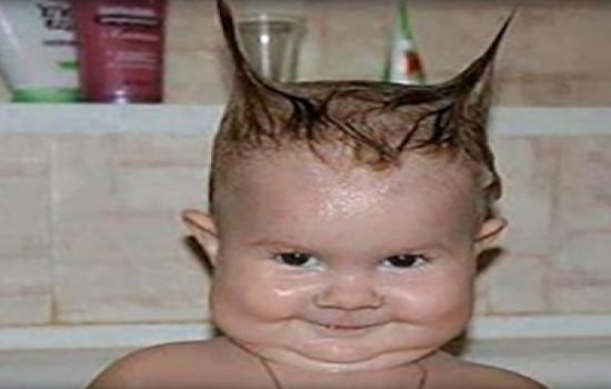 Mignon ptok